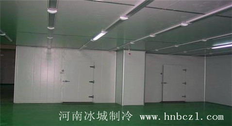 速凍庫(kù)設(shè)計(jì)安裝