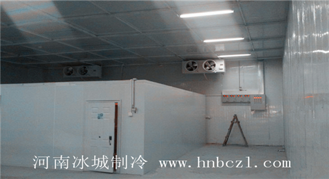 冰城制冷冷藏庫設(shè)計(jì)方案
