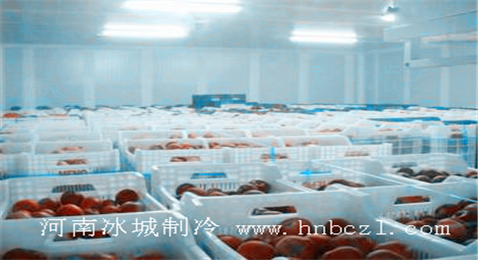 水果冷庫(kù)設(shè)計(jì)安裝工程完工現(xiàn)場(chǎng)