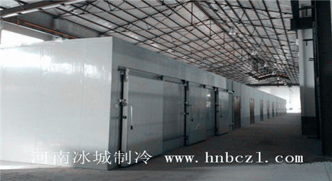 組合冷庫(kù)設(shè)計(jì)安裝