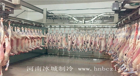 屠宰廠冷庫(kù)|生鮮冷庫(kù)工程|河南冷庫(kù)安裝|白條雞冷庫(kù)