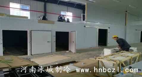 速凍冷庫設(shè)計安裝工程