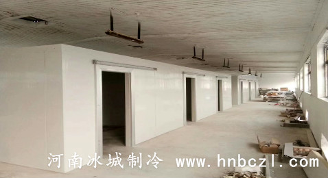 大型冷藏庫(kù)設(shè)計(jì)安裝